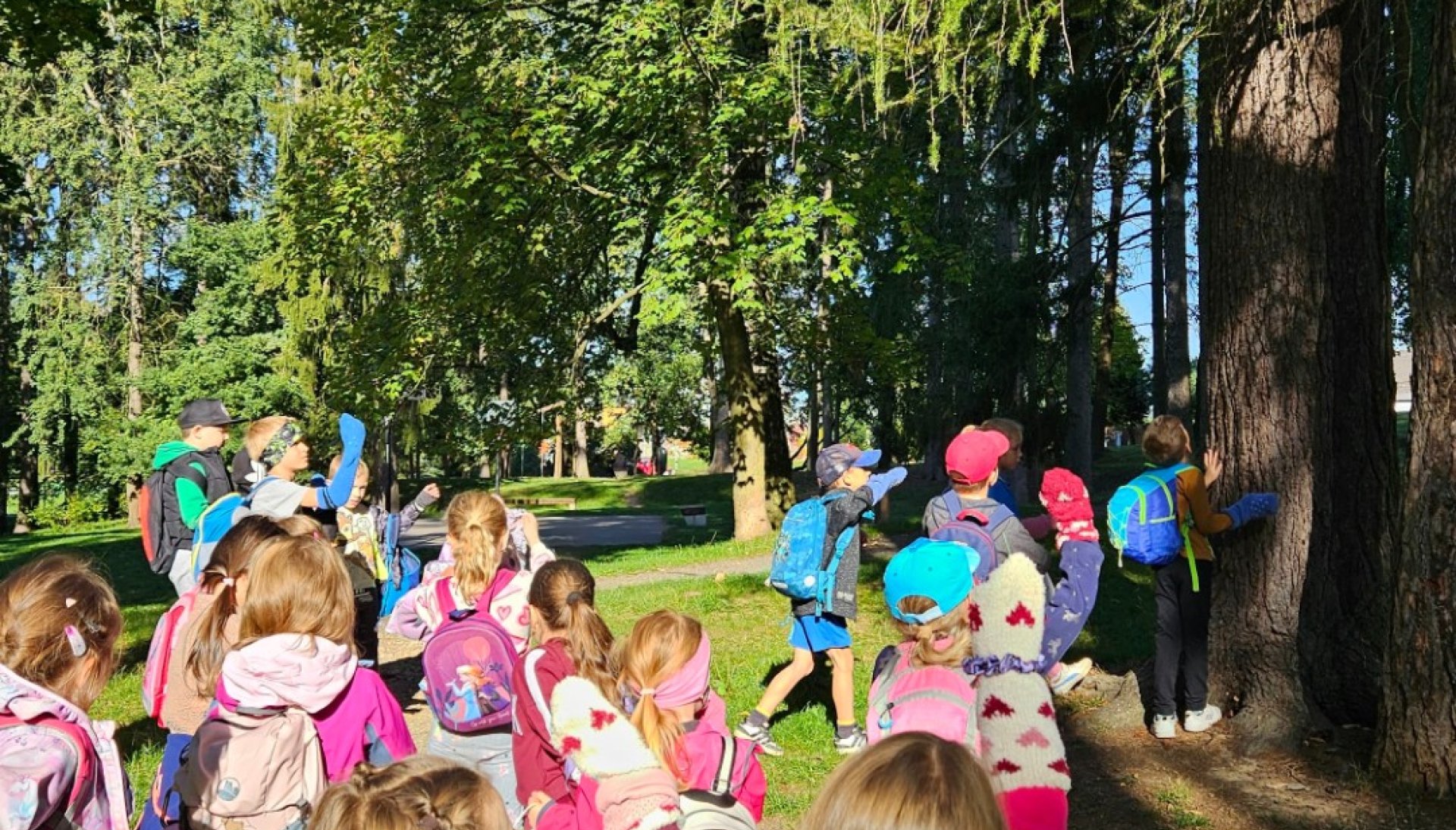 Les ve škole